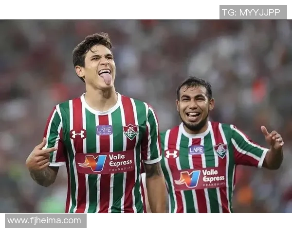 巴甲焦点之战弗拉门戈迎战弗鲁米嫩塞激情对决引发球迷热议